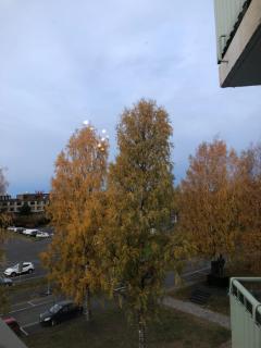 Cosy apartment in the city center FREE PARKING - 8