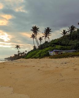 Beachbums CoLiving - Madiha - 5