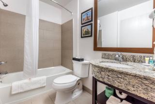 Comfort Inn & Suites Aztec - Farmington Area - 3