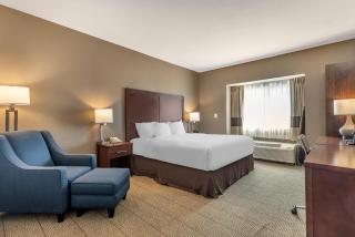 Comfort Inn & Suites - 2