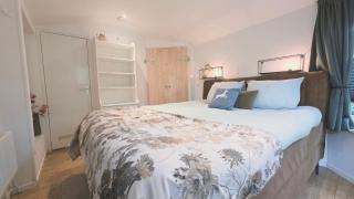 Vliegend Hert, Direct in de Natuur op de Veluwe - 2