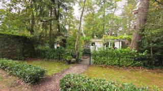 Vliegend Hert, Direct in de Natuur op de Veluwe - 6