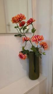 Vliegend Hert, Direct in de Natuur op de Veluwe - 1