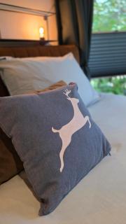 Vliegend Hert, Direct in de Natuur op de Veluwe - 1