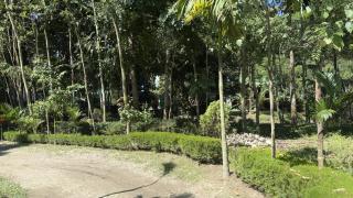 Sonargaon Inn - 6