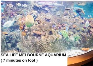 381D Beautiful CityView 2BR FREE Parking Pool Gym - 9