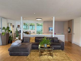 Lake Zug, Luxury Home, Stunning View - 7