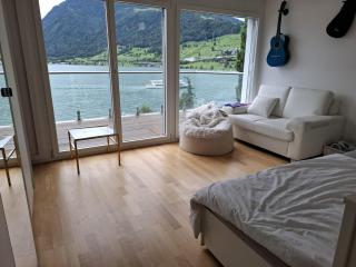 Lake Zug, Luxury Home, Stunning View - 6