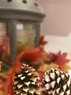 Encanto en el Moncayo - 9