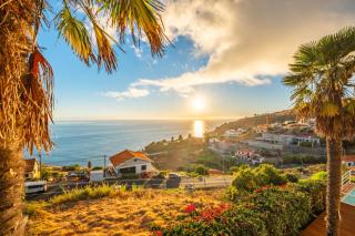 Magnolia Sunsets - Calheta - 0