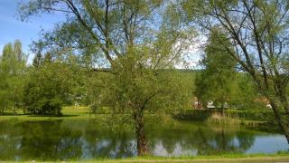 Ferienwohnung Ziegler - 2