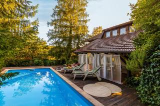 Villa Art Vita - Private Pool, Sauna & River Access - Donji Zvečaj - 7