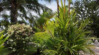 Villa Maris - Blue mango residence, Mae Phim - 6