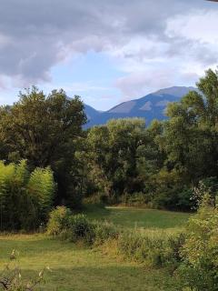 Casa vacanze villa latina - 4