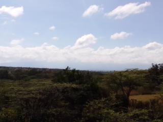 Ndege Mingi Bush Camp - Laikipia - 2