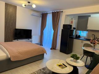 Sofia Residence - Otopeni Airport & Therme I Libertatii Gardens - free pool facilities - 4