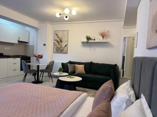 Sofia Residence-Otopeni Airport & Therme- Libertatii Gardens-Self Check-in - Otopeni - 0