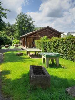 Camping du Haut-Koenigsbourg - Onlycamp - 2