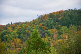 Szyndzielnia Park no 23 # z kortem tenisowym, rowerownią # LUX # nestapartmenty - 3