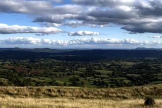 Central 1-Bed - Sleeps 2 - Pet Friendly w Garden - 8