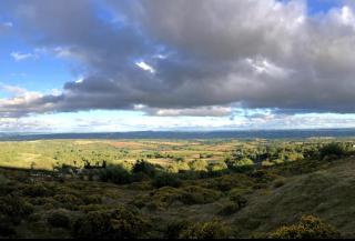 Central 1-Bed - Sleeps 2 - Pet Friendly w Garden - 6