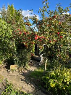 Central 1-Bed - Sleeps 2 - Pet Friendly w Garden - 3