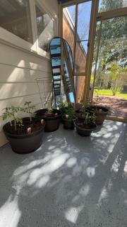 Highlands Heart Cottage - 7