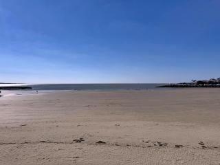 Teeny Ponta Plage - 2