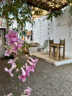 Cozy 1BR Bungalow with Kitchen in Eco Garden Nature Escape - 1