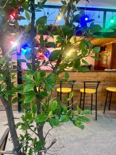 Art Hotel Home - Tiflis - 8