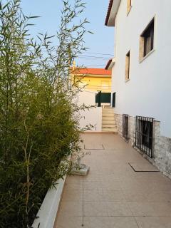 Aomo-casa parede - 5