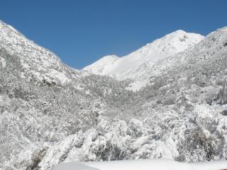 ApartHotel RIALB - 4