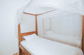 Coral haven watamu - 1