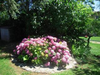 Gîte de Ségonac - 9