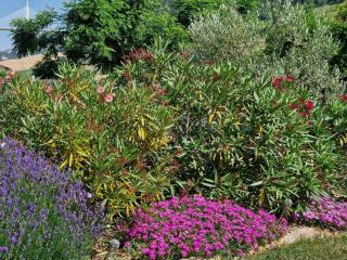 Gîte de Ségonac - 3