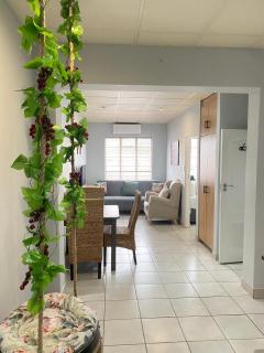 The Protea & Vine - Paarl - Self Catering Apartment - 2