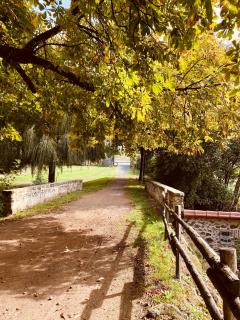 Grande maison de ville MALO LEONE 250m2 pour 15 personnes proche du Puy du Fou - 7