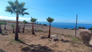 The Tree House Camp - 1