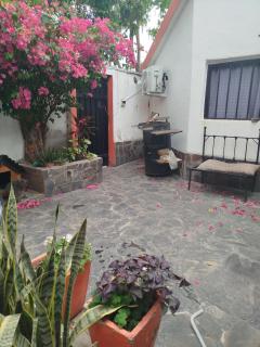 Bruna Zona Alta - 9