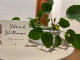 NEU! Auszeit am Hirzenkopf - 4