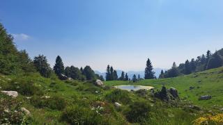 Appartamento Stella - 5