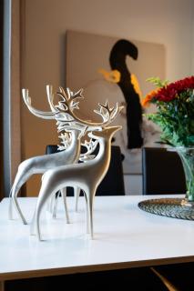 Cozy City Apartment in Rovaniemi - 1