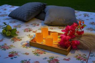 Villa medona- A peaceful stay - 3