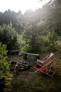 Przytulny dom w sosnowym lesie nad rzeką i jeziorem - 7