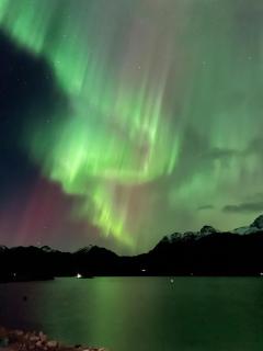 Modern & Elegant Apartment in Henningsvær - 7