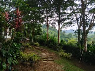 ภูริรักษ์ โฮมสเตย์ - 5