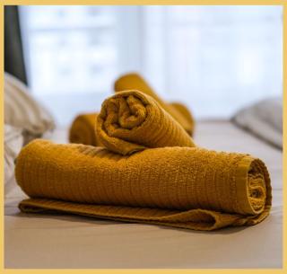 Chez Milène I T2 I Ambilly - 2