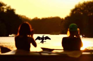 Seaview, 4 BR Private Villa, Tangalle Beach - 3