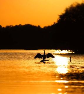 Seaview, 4 BR Private Villa, Tangalle Beach - 1