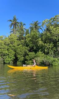 Seaview, 4 BR Private Villa, Tangalle Beach - 6